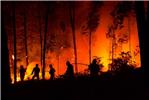 Incendi boschivi